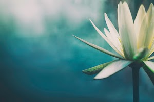 Atlanta Ketamine Center | Treatment for Depression, Anxiety, & PTSD